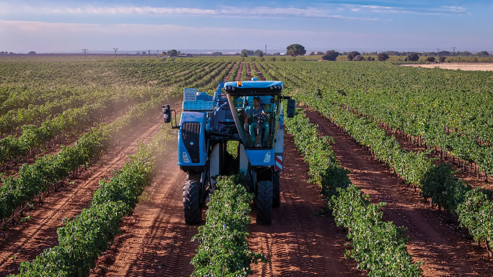 GAMA DE ALTA CAPACIDAD BRAUD