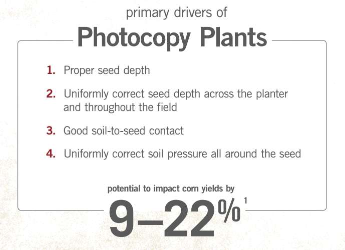 Graph of factors for photocopy plants results