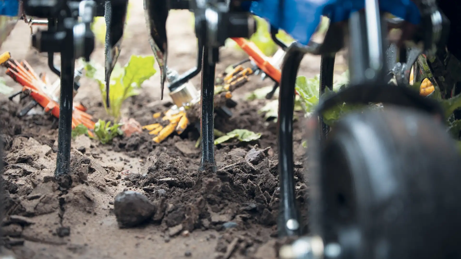 CULTIVADORES ENTRE LINEAS SRC Y SRC SMARTSTEER™