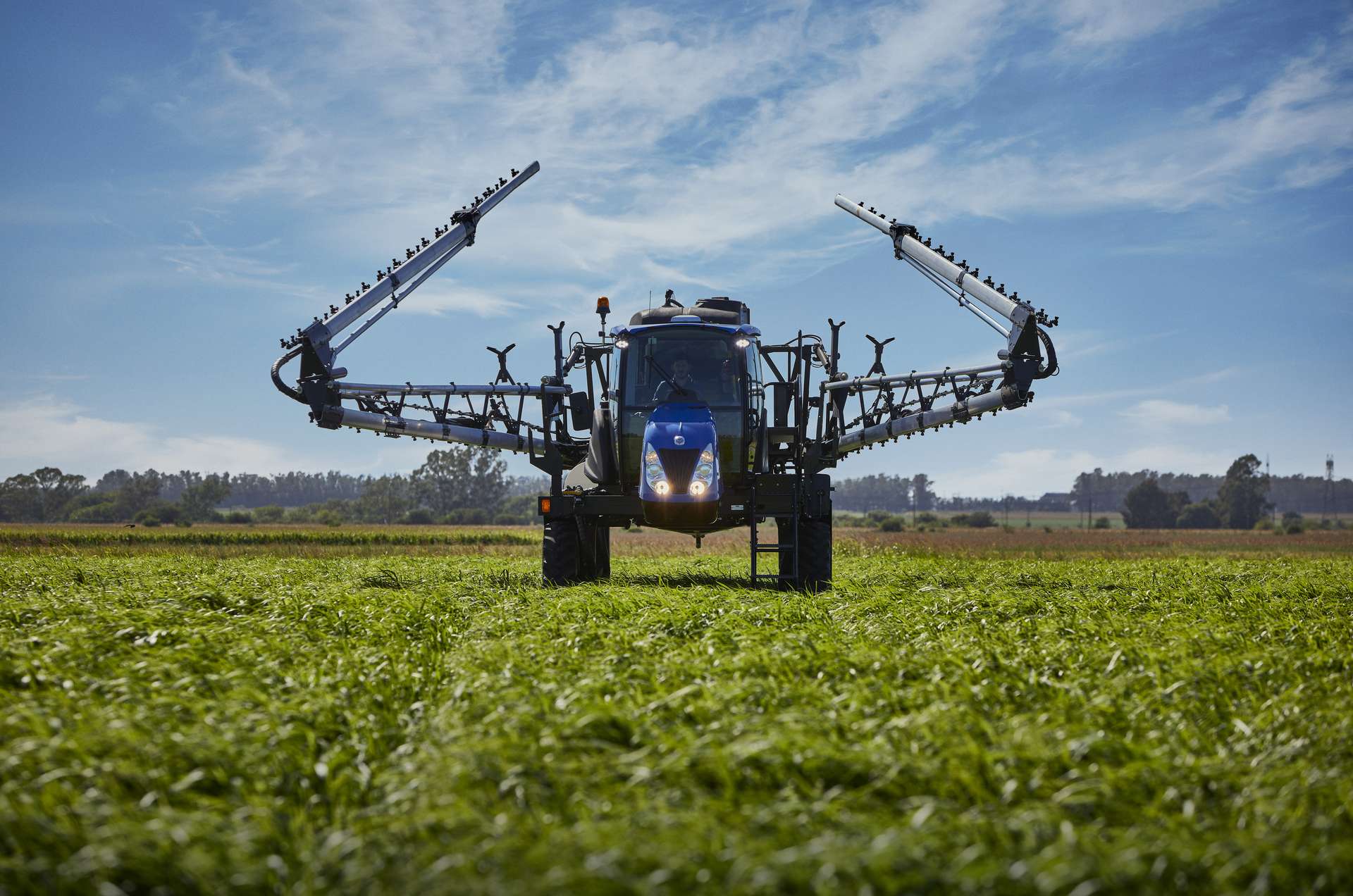 galeria defensor  (6).jpg