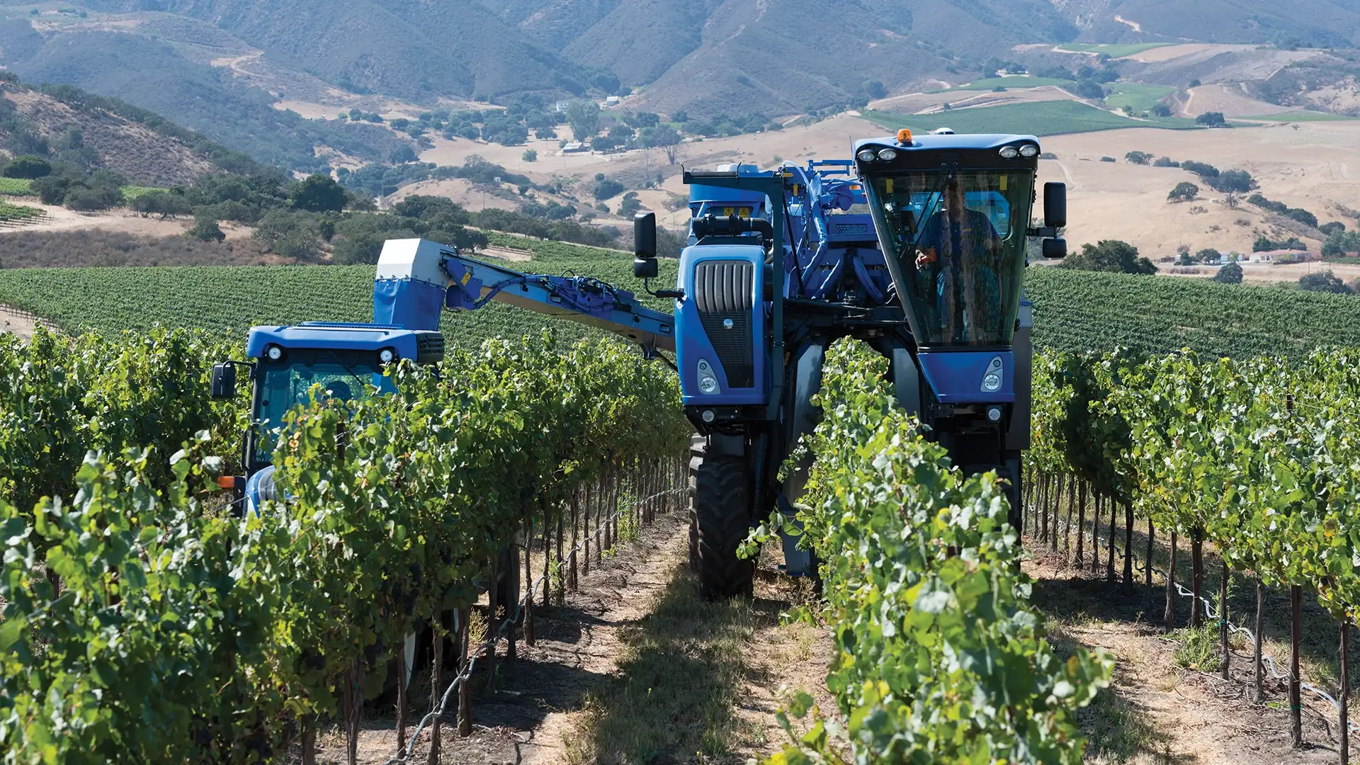Braud 9090X Grape Harvesting Machine working