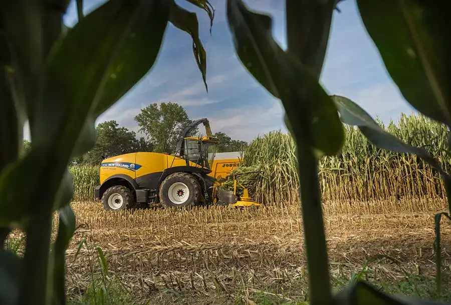 fr-forage-cruiser-gallery-02