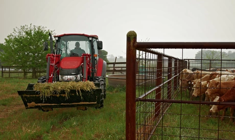 Farmall 65C tractor model hero