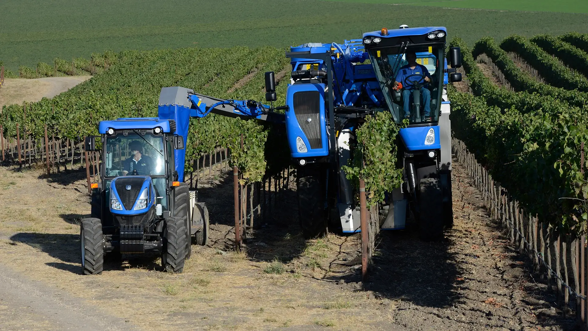 BRAUD 9090X Grape Harvester working on the field