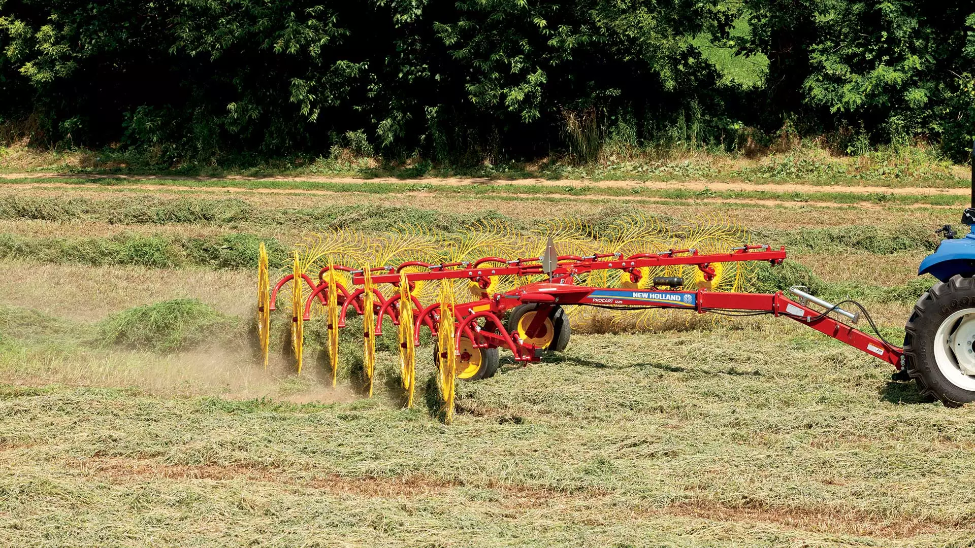 ProCart™ and ProCart™ PLUS Deluxe Carted Wheel Rakes - Media Gallery