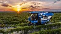 Plus de confort, de capacité, de puissance et de productivité : les nouvelles machines à vendanger compactes BRAUD de New Holland