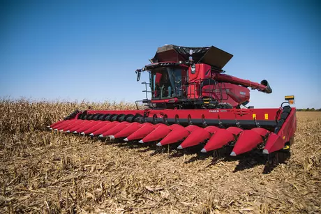 AF11 combine with C516C corn head in corn field