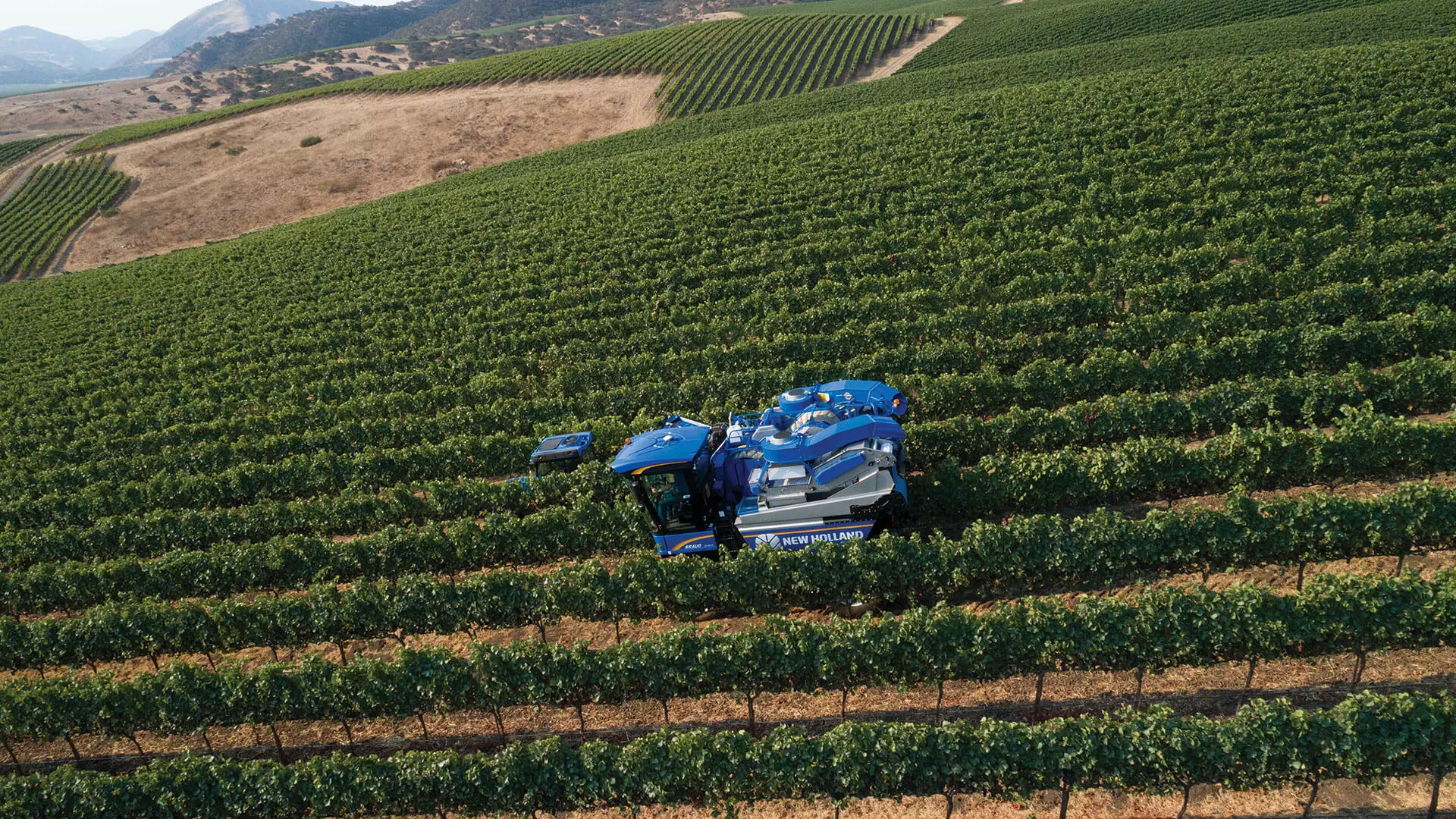 Braud Grape Harvester