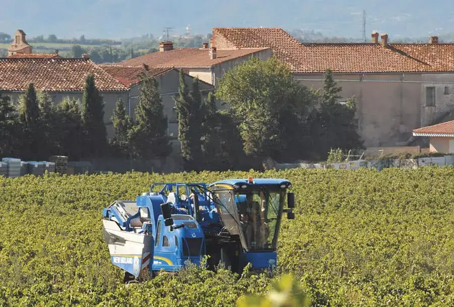 braud-grape-harvesters-gallery-01
