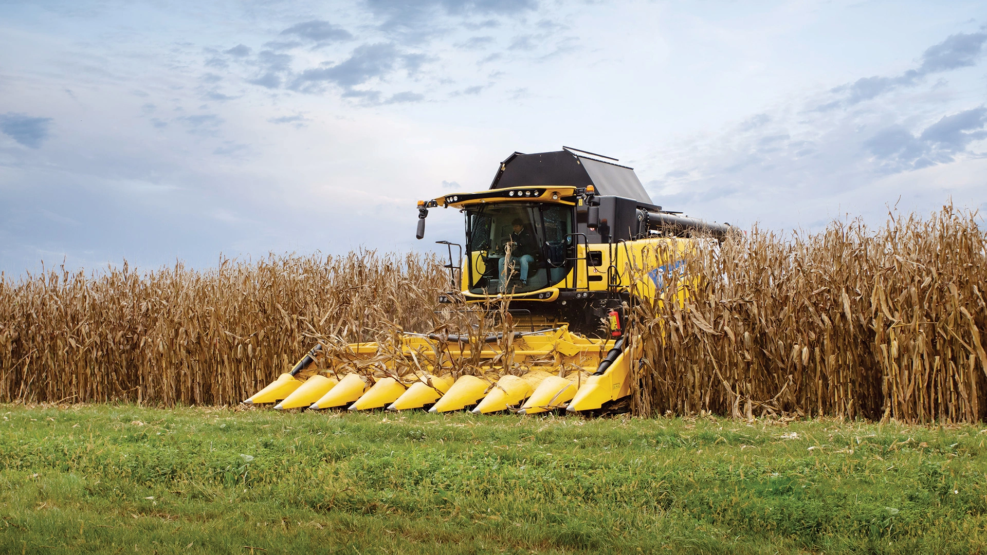 New Holland combine with maize header in action
