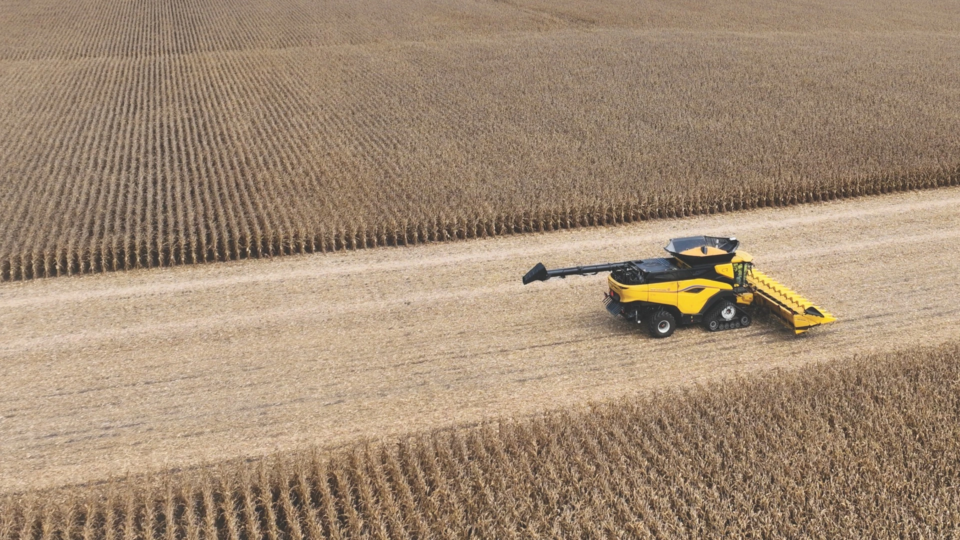 New Holland 9200 Series corn head on a combine in the field