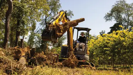 Mini Excavator lifting log.