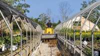 Mini track loader operator in between green houses.