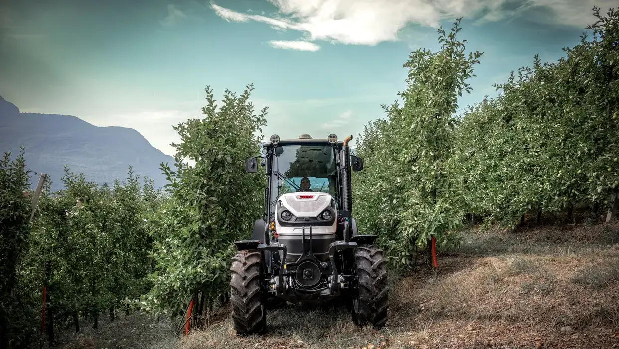 Front view of a STEYR Spezial orchard tractor driving down a row of apple trees