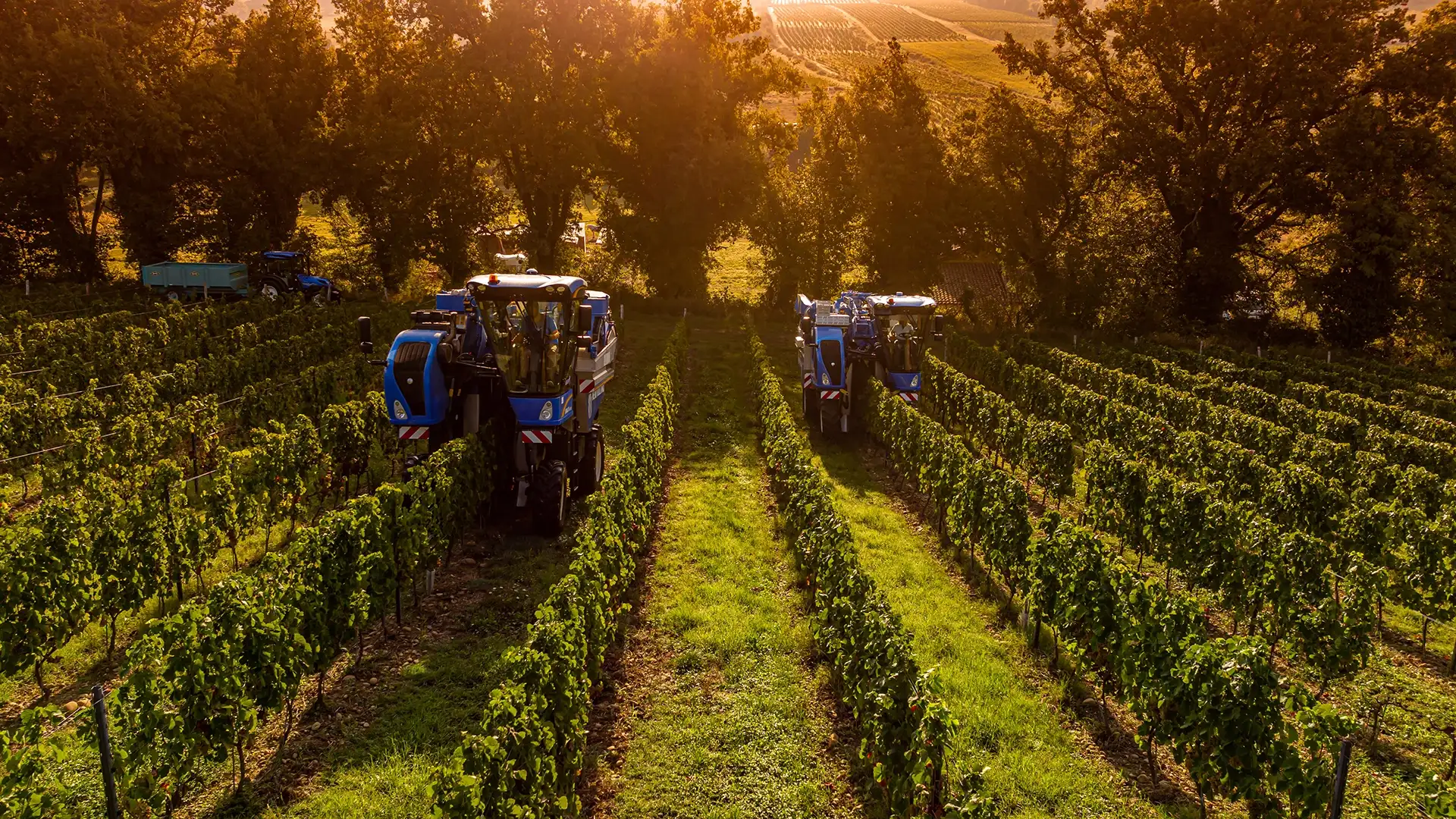 Guidance & Steering Solutions