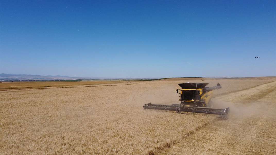 La revolución de la recolección ya está aquí: las primeras New Holland CR11 debutan en los campos de España