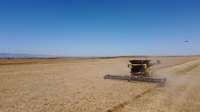 La revolución de la recolección ya está aquí: las primeras New Holland CR11 debutan en los campos de España
