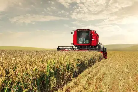 Harvesting Equipment | Case IH | Case IH