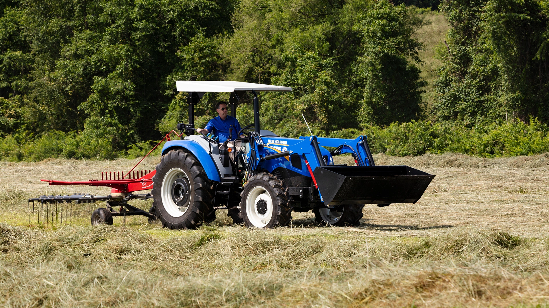 WORKMASTER tractor with hay rake implement