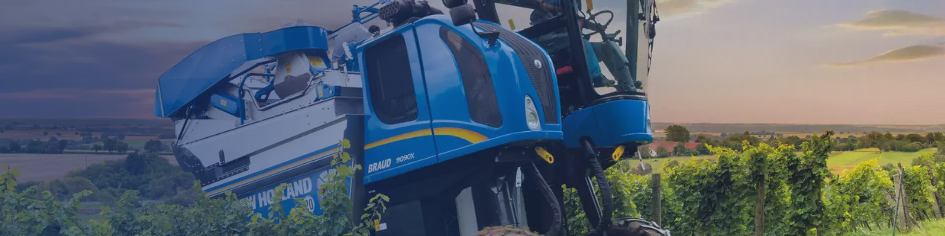 New Holland Braud Grape Harvester working in field