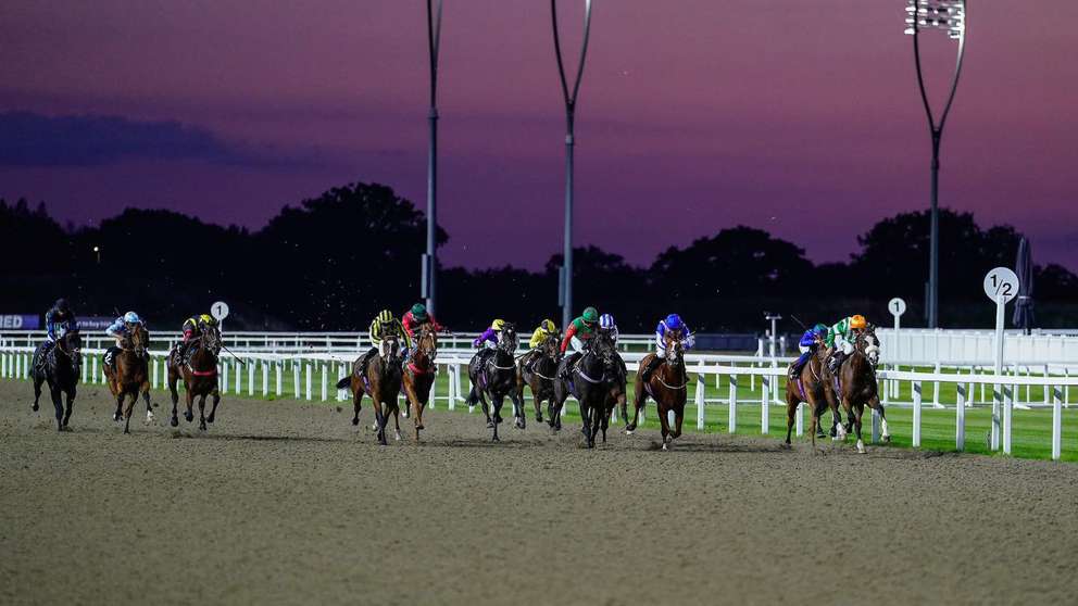 Chelmsford City Racecourse sponsorship New Holland