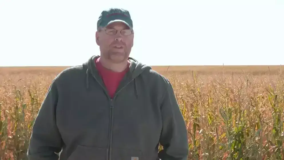 Image of Producer in field