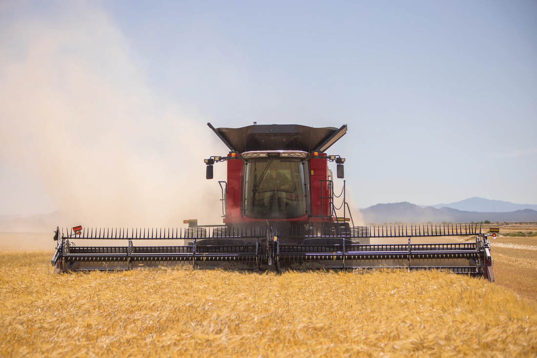 Axial-Flow 6160