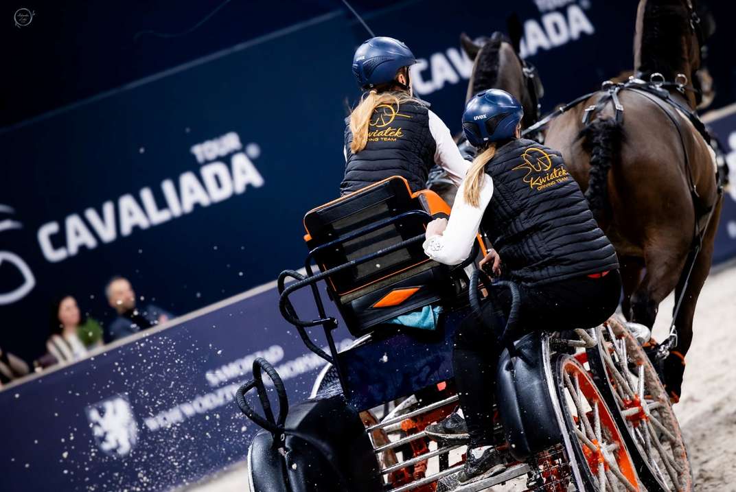 sportowe emecje_horse_03.jpg