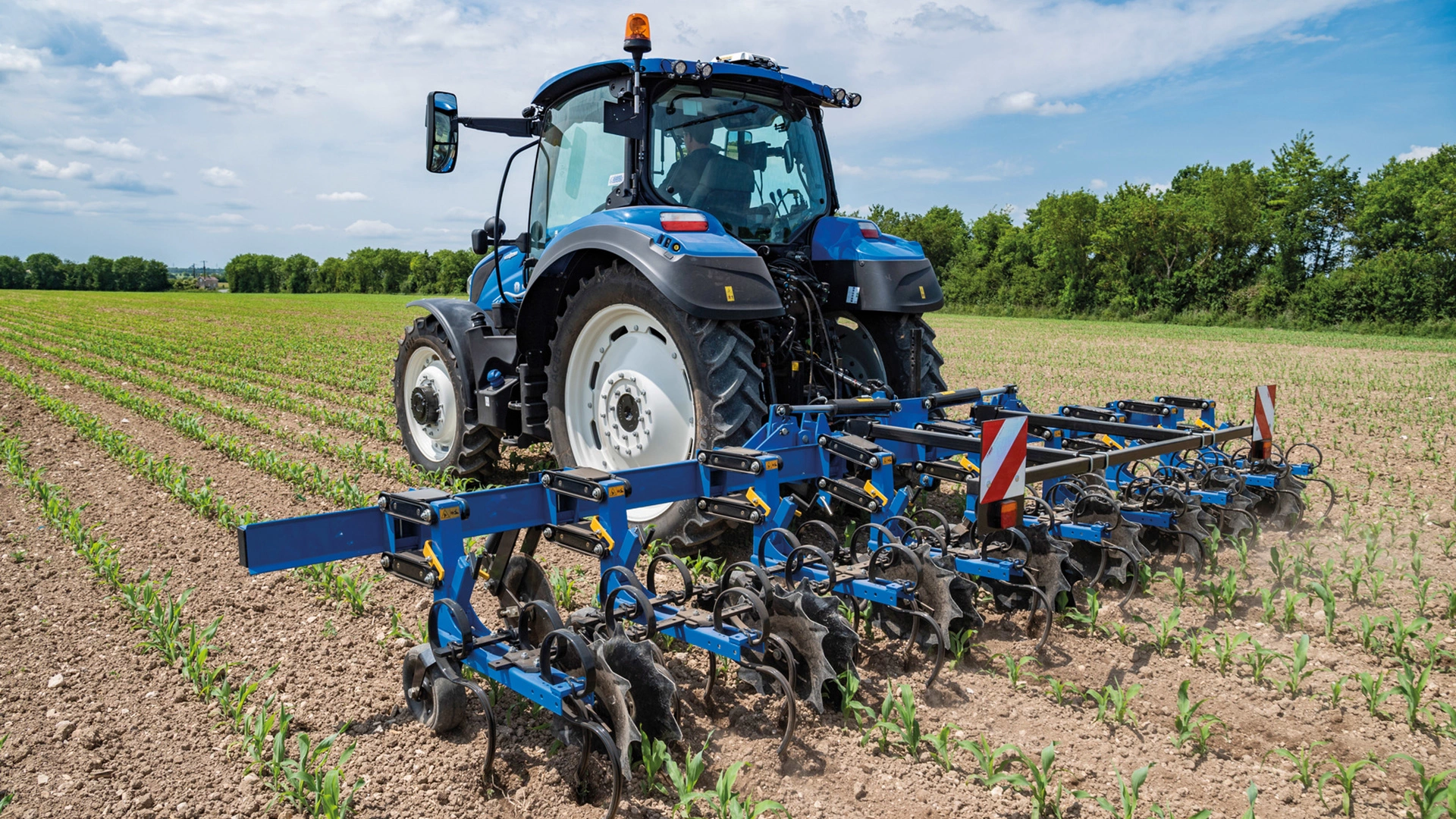 Tractor-mounted Interrow Cultivators actively working between crop rows for weed control on the field
