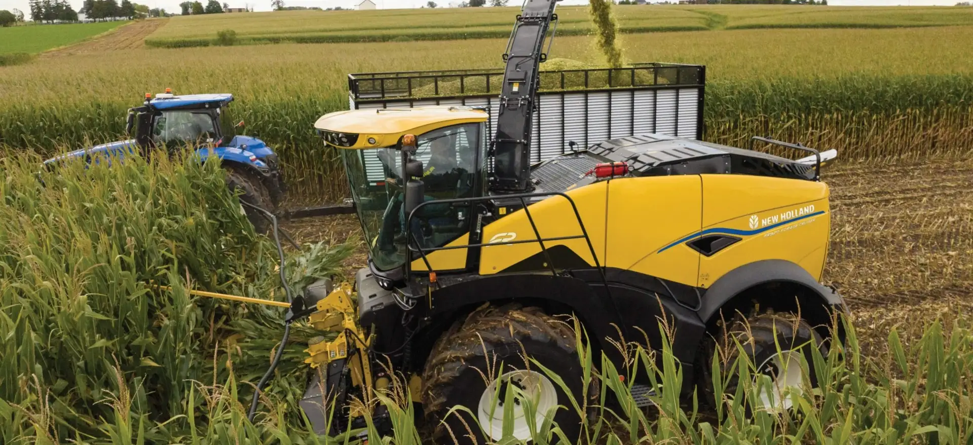 Forage Harvester - FR Forage Cruiser | New Holland