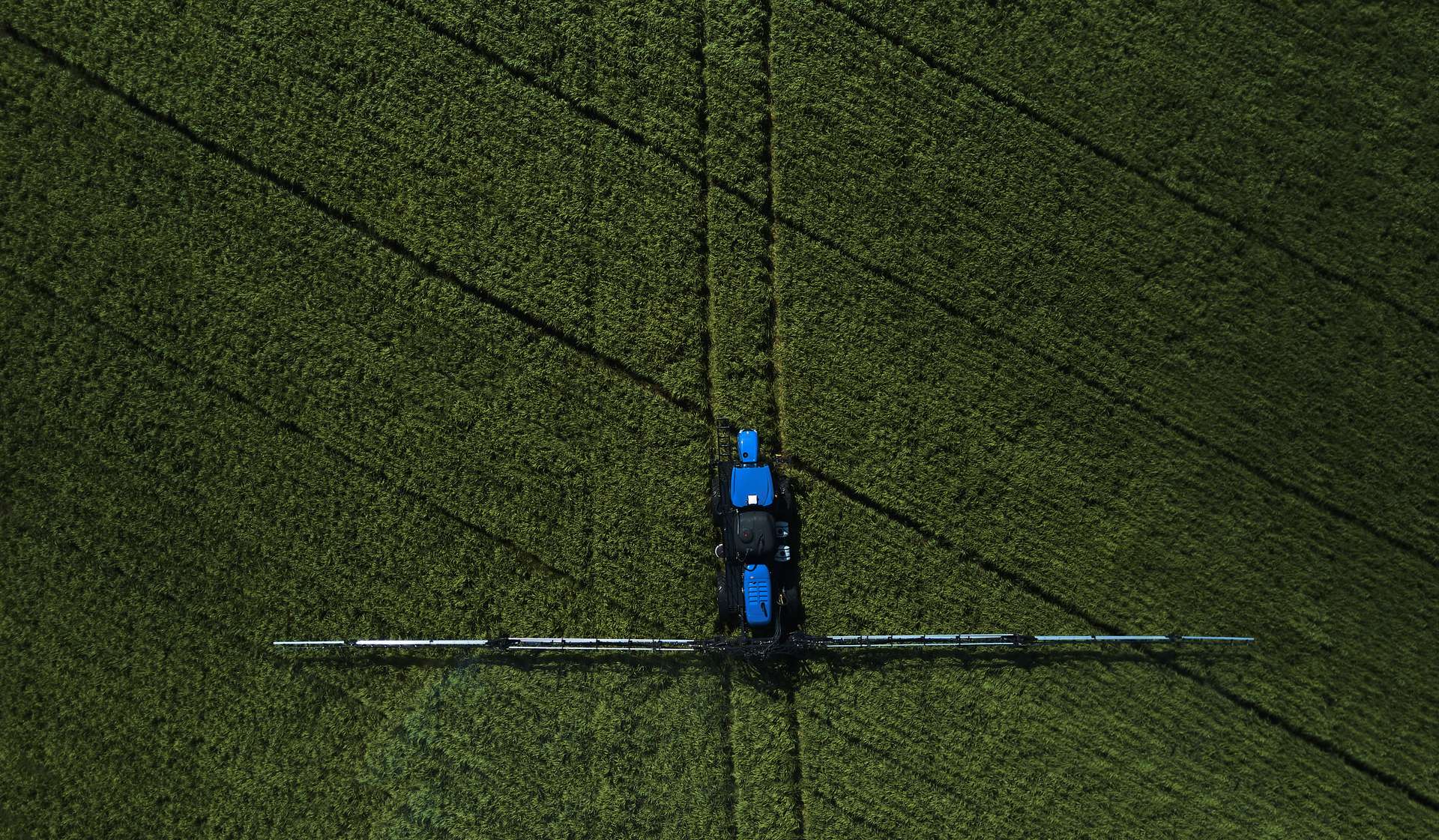 galeria defensor  (4).jpg