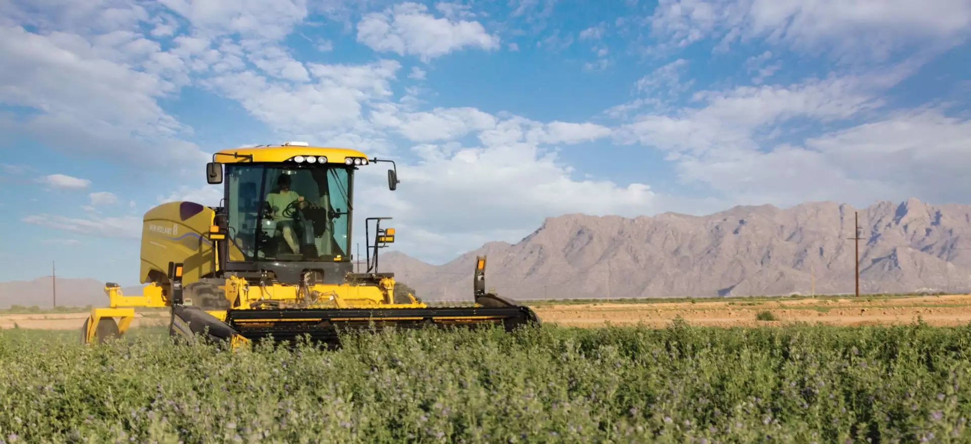 Speedrower® PLUS Self-Propelled Windrower in the field