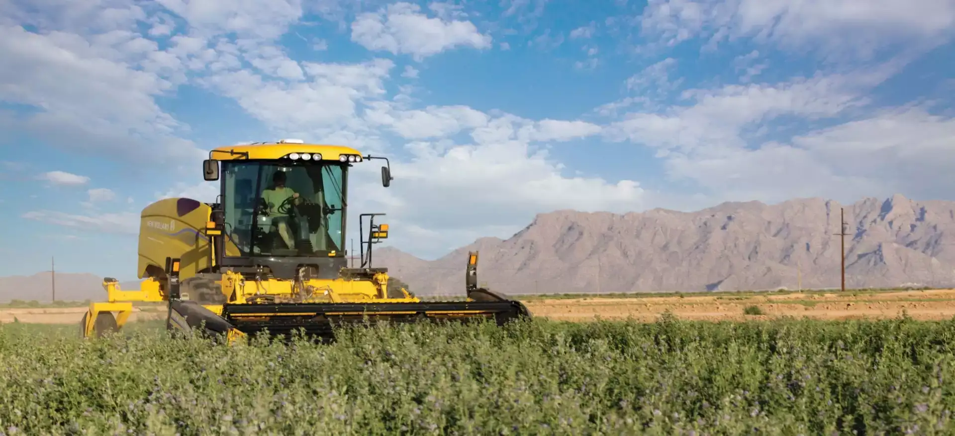 Speedrower® PLUS Self-Propelled Windrower in the field