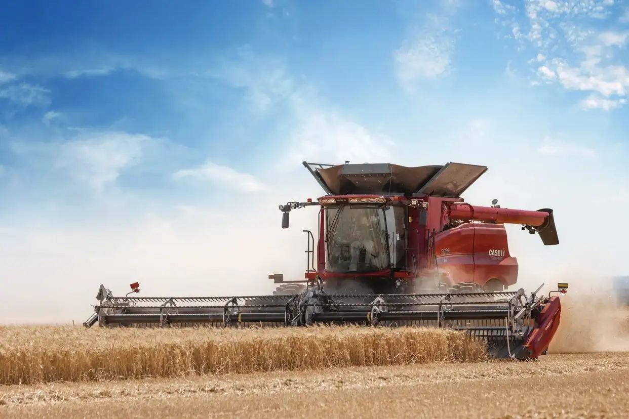 Case IH red combine harvester cuts golden wheat in a wide field beneath a bright blue sky, raising dust; the rural harvest scene feels industrious.
