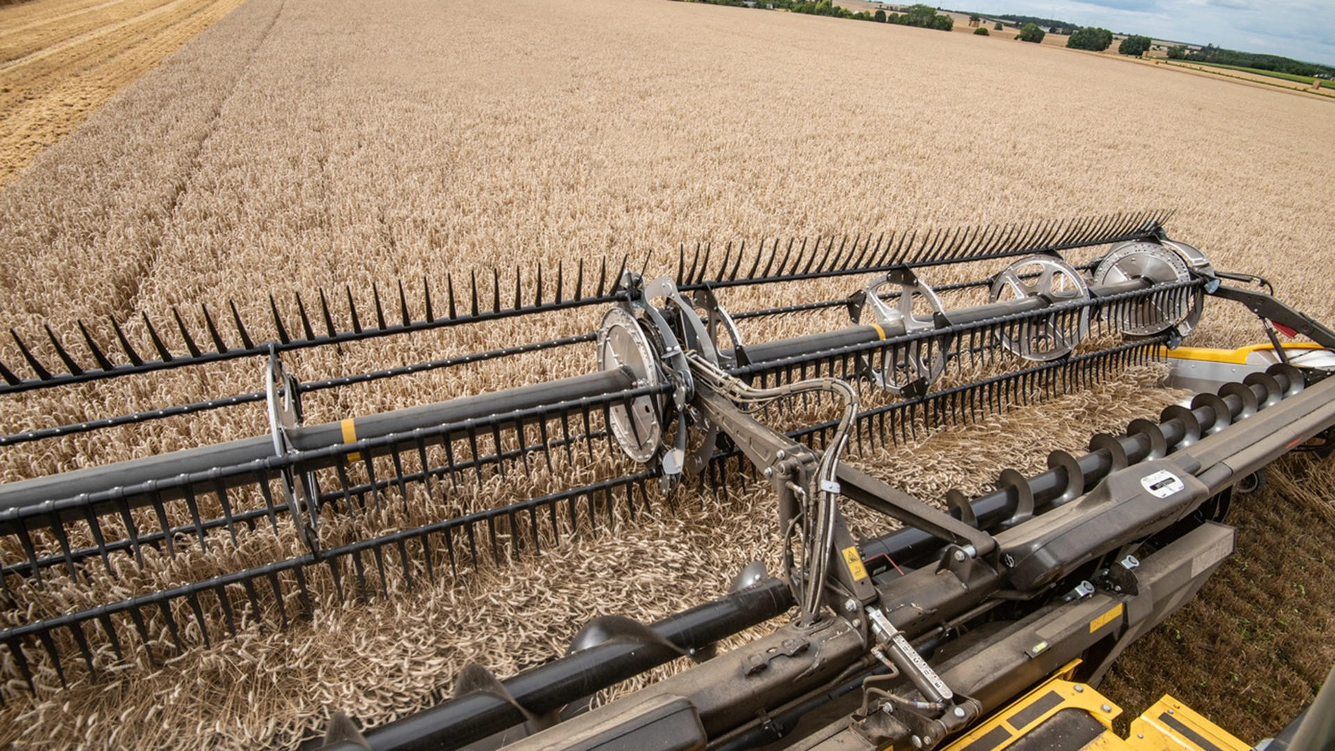 MacDon FD2 FlexDraper Header in vast wheat field; advanced New Holland agricultural equipment.