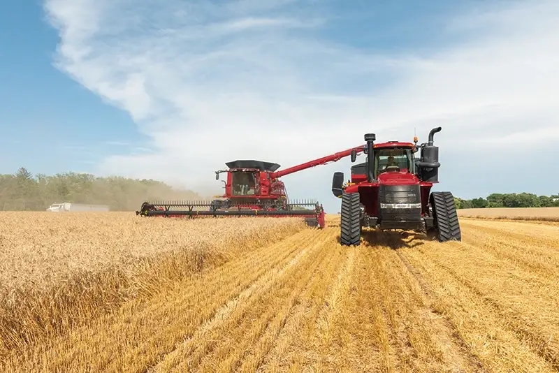 Steiger 420 and Axial-Flow 8250 harvesting corn