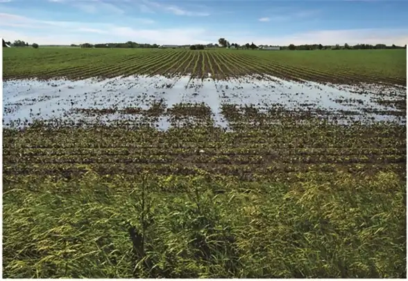 image of flooded field