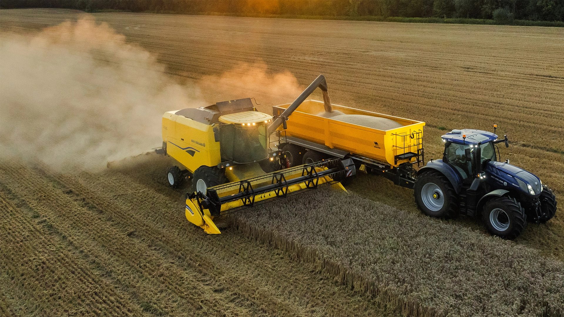 New Holland Combine Harvester TC in action, efficiently harvesting with agricultural combine header