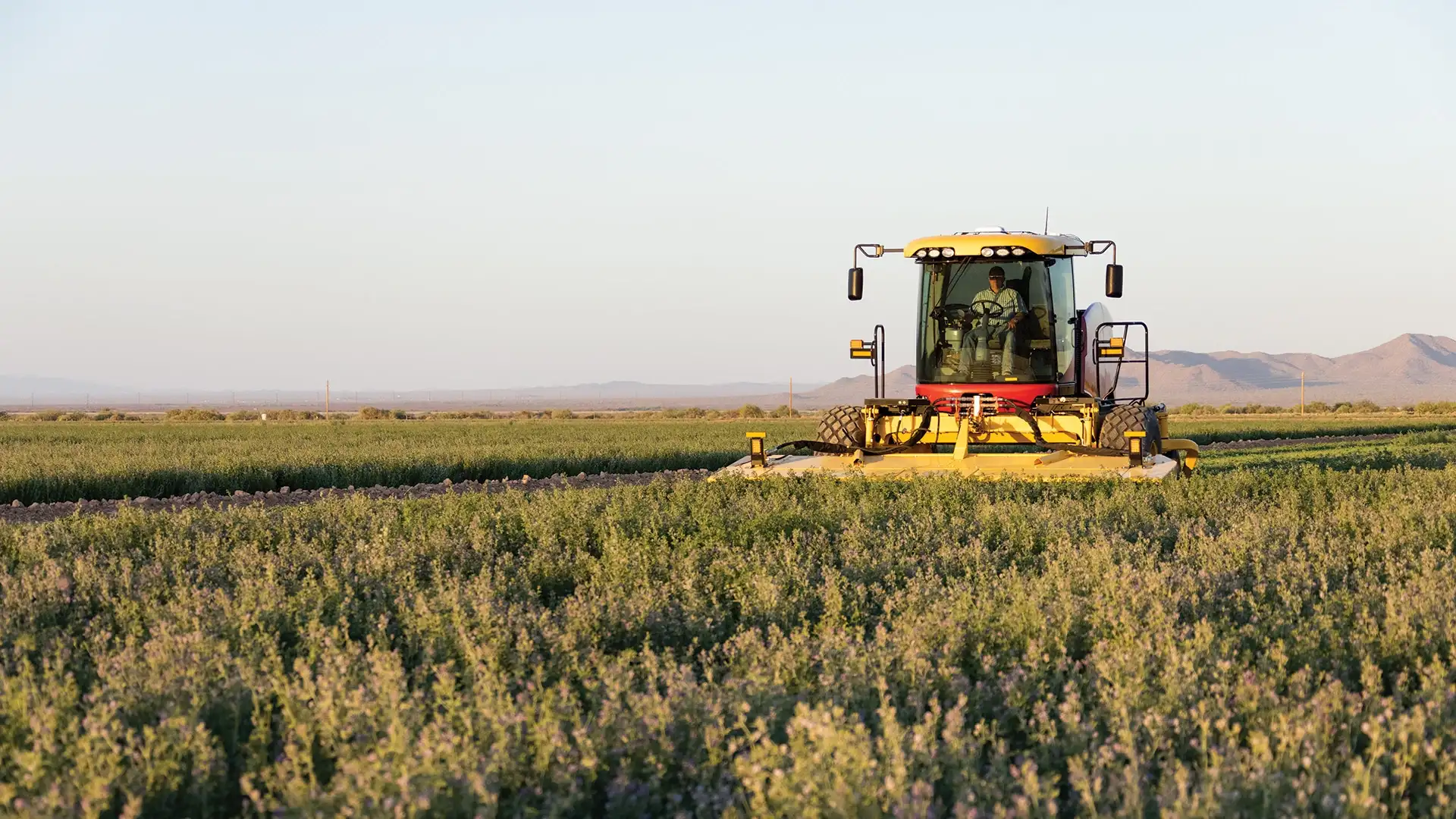 Speedrower® PLUS Self-Propelled Windrowers Media Gallery