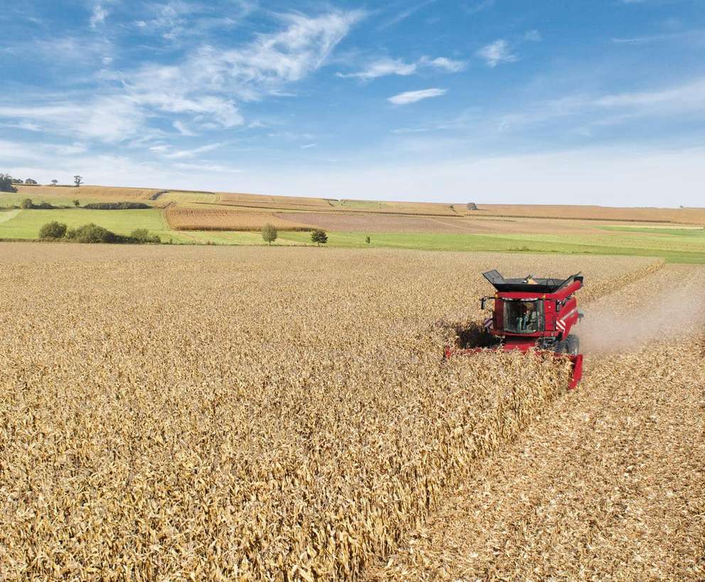 Corn header