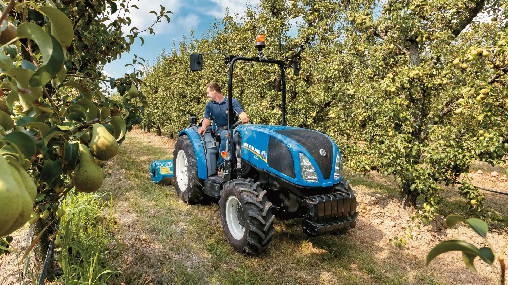 Man operates T3F Compact Specialty tractor in an orchard