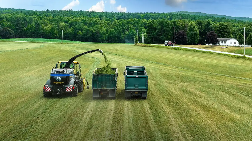 success-with-silage-gallery-01.jpg