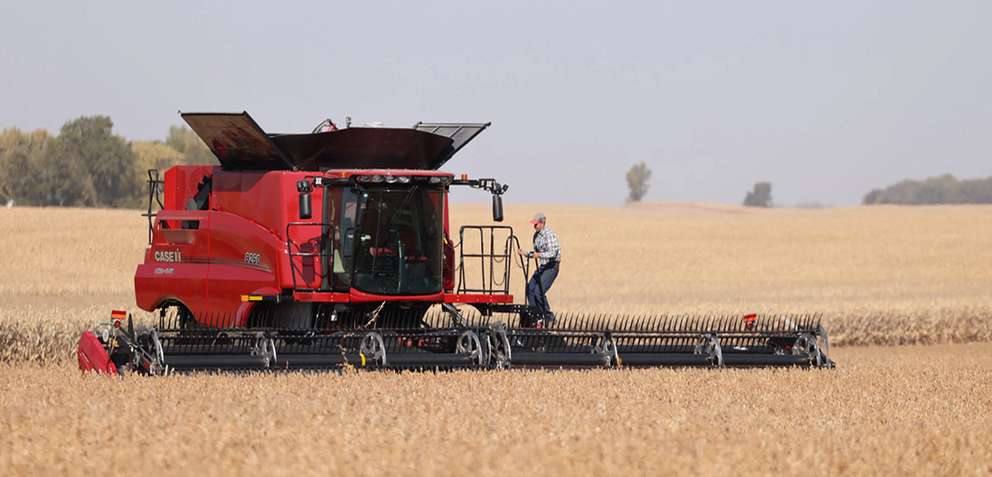 A farmer climbs onto a large red Case IH combine harvester in a golden soybean field under a clear sky.