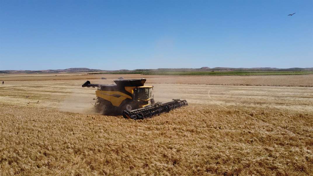 La revolución de la recolección ya está aquí: las primeras New Holland CR11 debutan en los campos de España