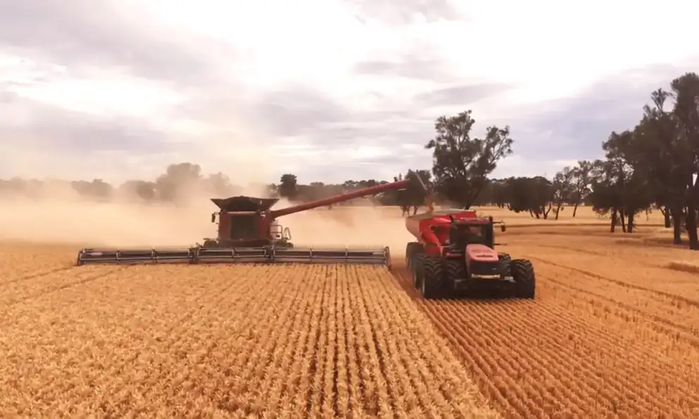 New Case IH combine series shines during demanding harvest w_712018.png
