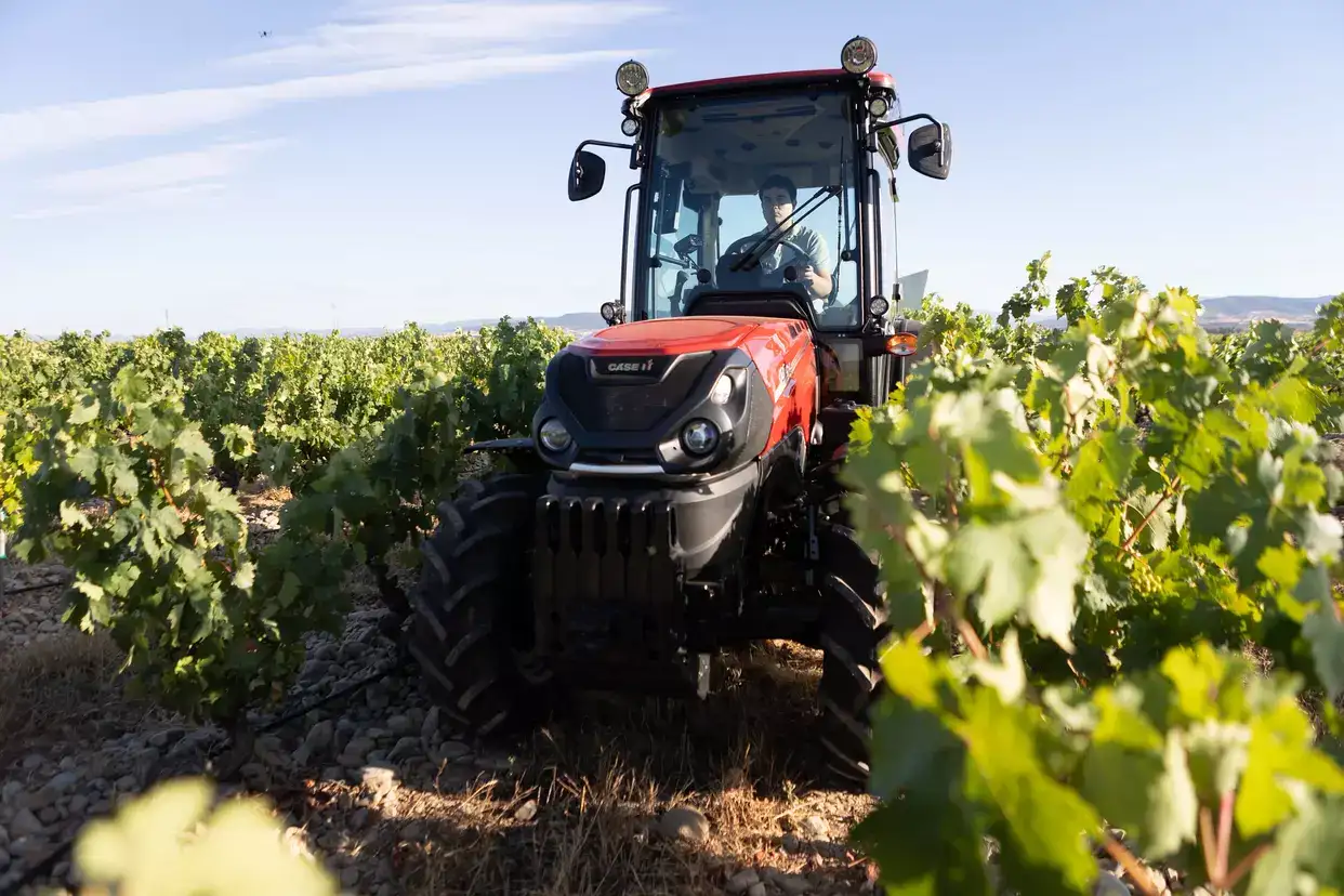 Close up of Farmall 120CL in vinyard