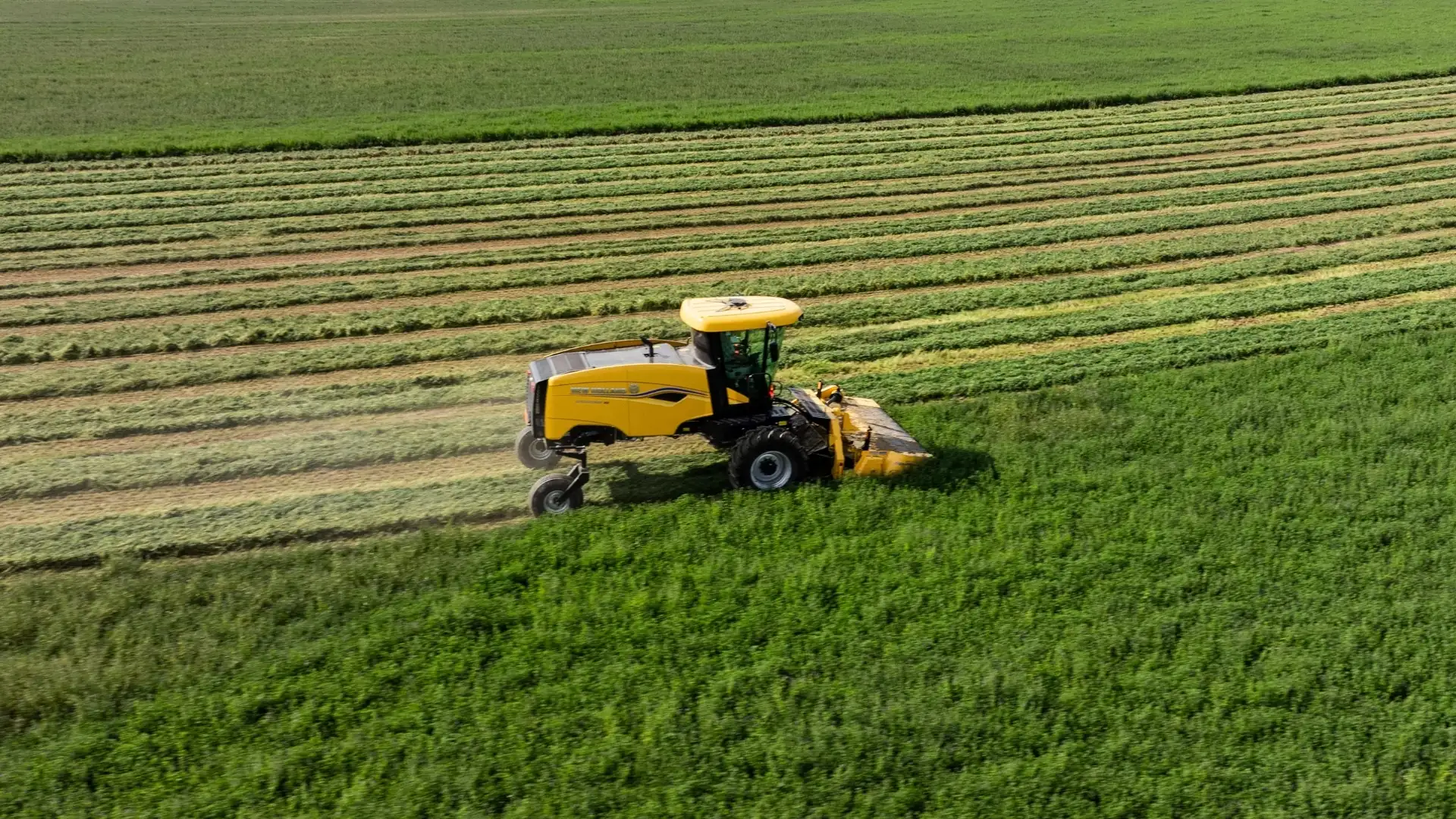 birds eye view of windrower in a field.