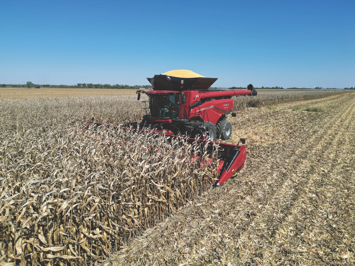 AF Combine harvesting corn 