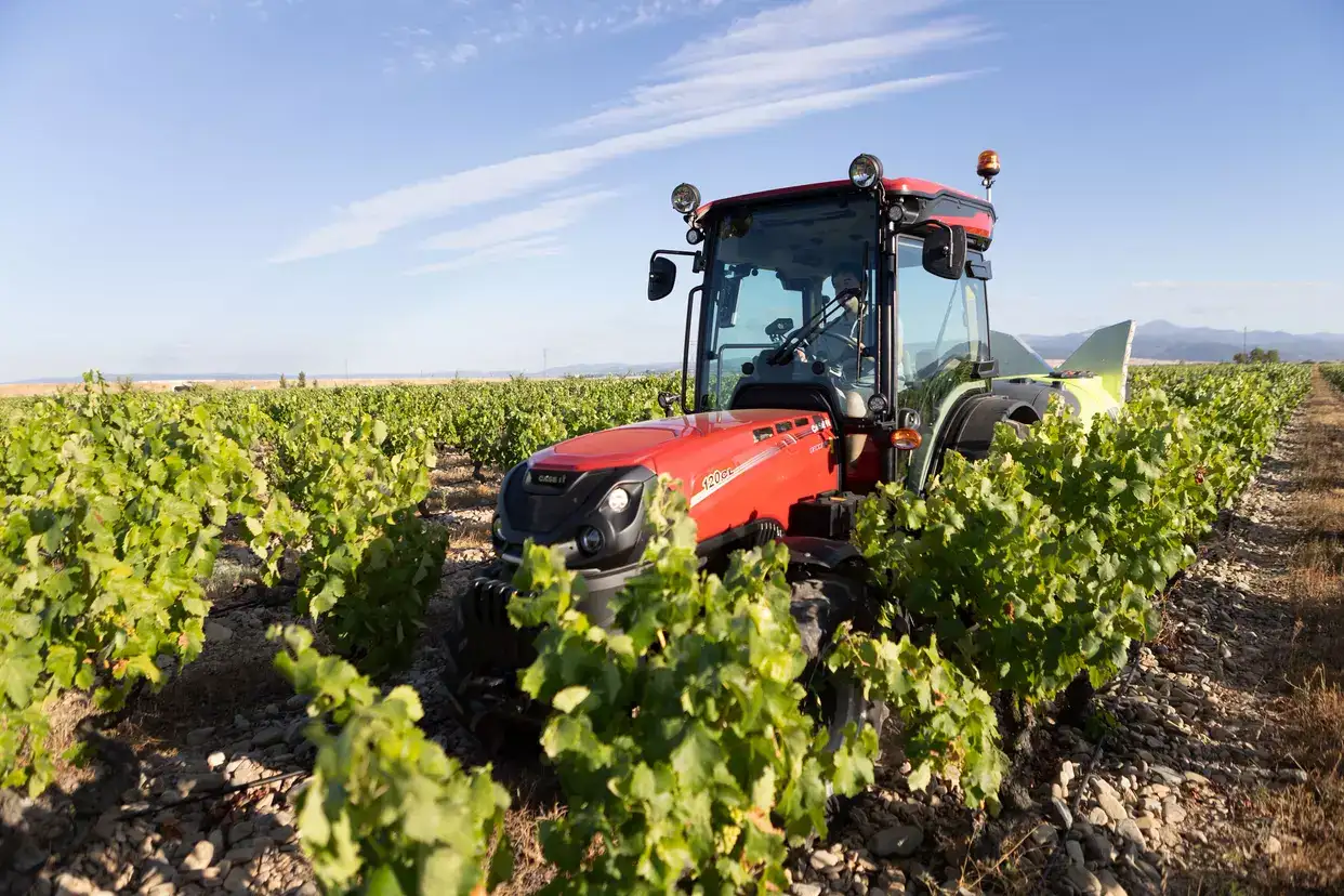 Farmall 120cl In between vineyard rows