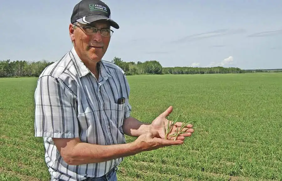 Ken Vreeling in field